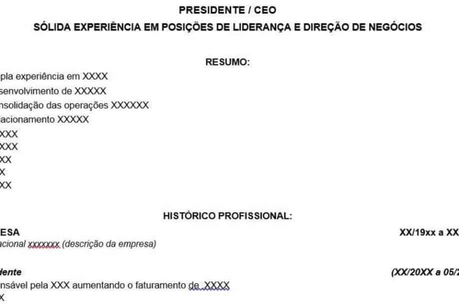 16 – CEO Diretor de Negocio